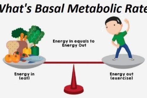 Basal Metabolic Rate