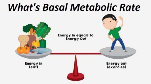 Basal Metabolic Rate