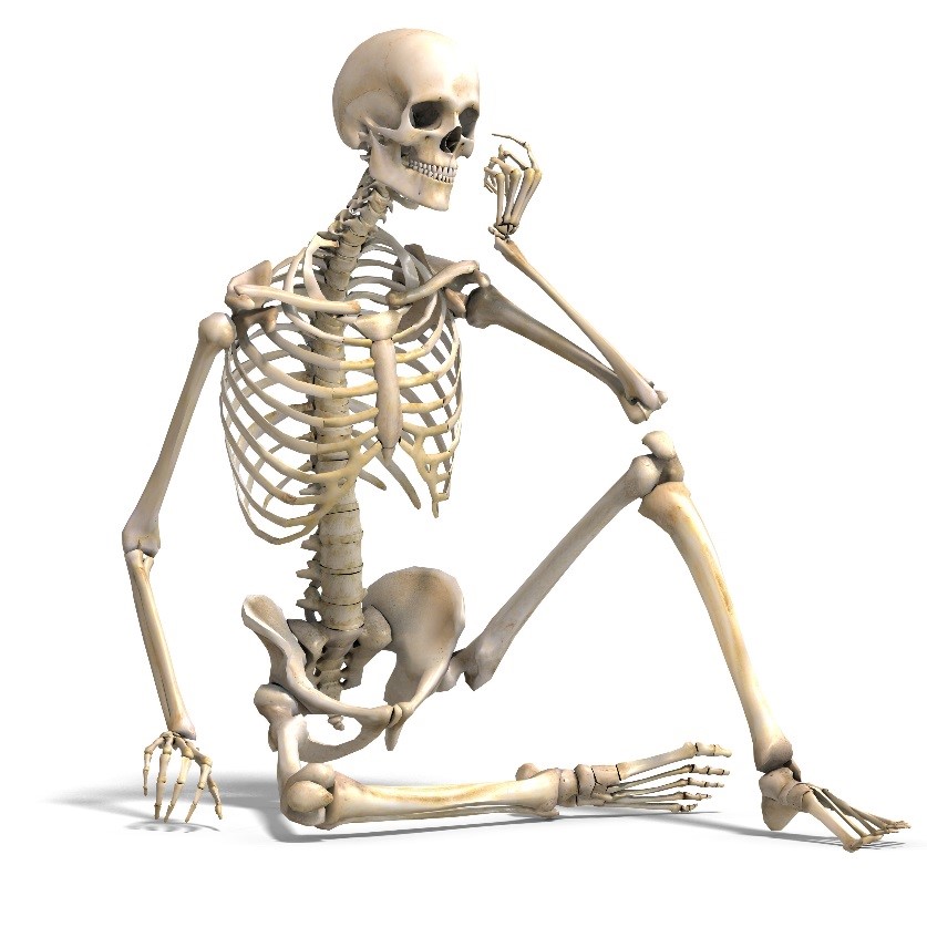 Chap1StructureImage1