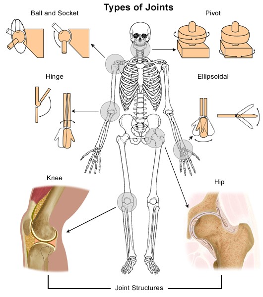 Chap1StructureImage11