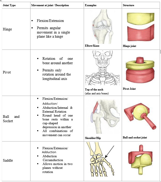 Chap1StructureImage12