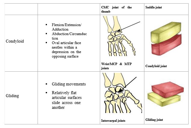 Chap1StructureImage13