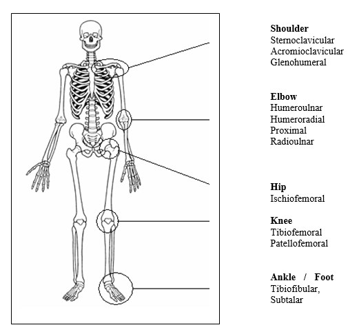 Chap1StructureImage14a