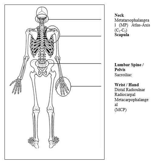 Chap1StructureImage15a