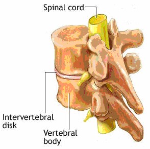 Chap1StructureImage17