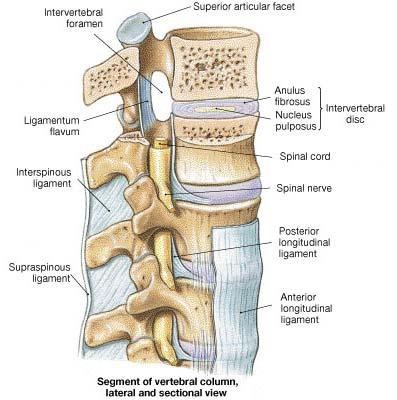 Chap1StructureImage23