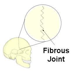 Chap1StructureImage7