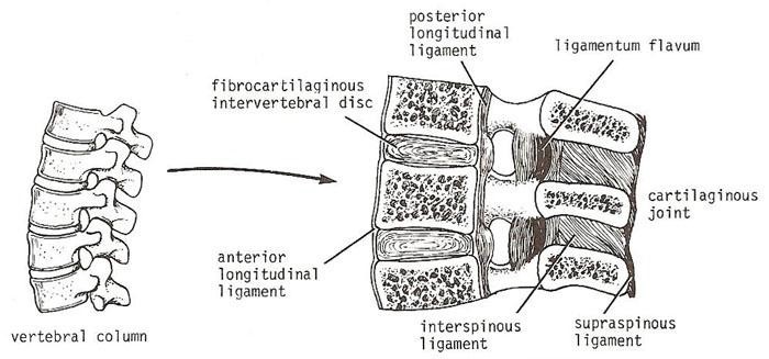 Chap1StructureImage8